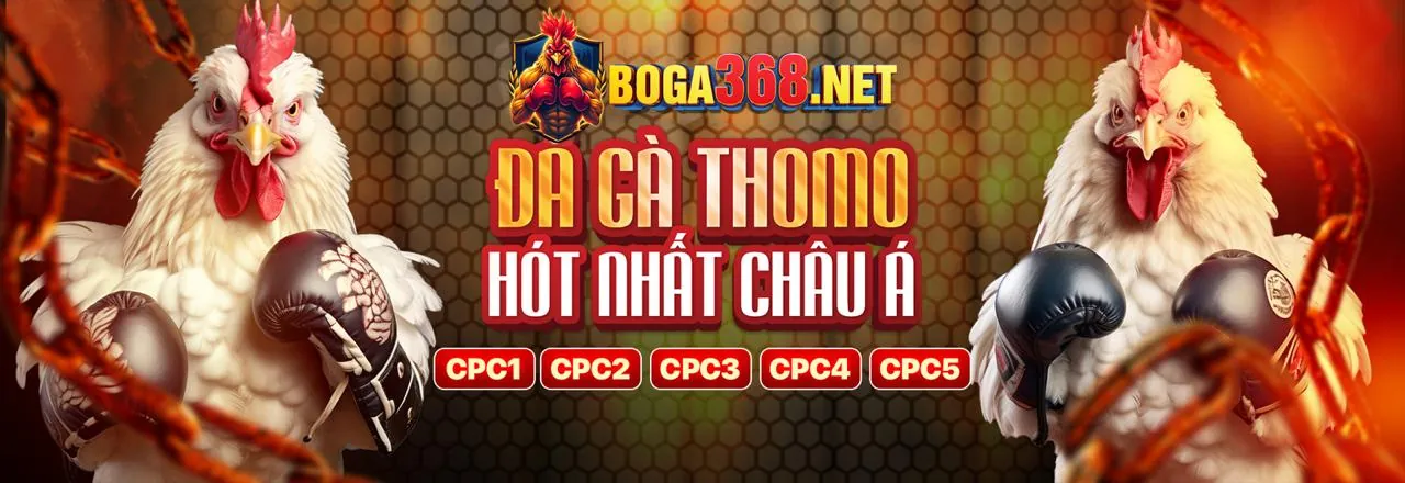 Hướng Dẫn Chơi Game tin888 casino