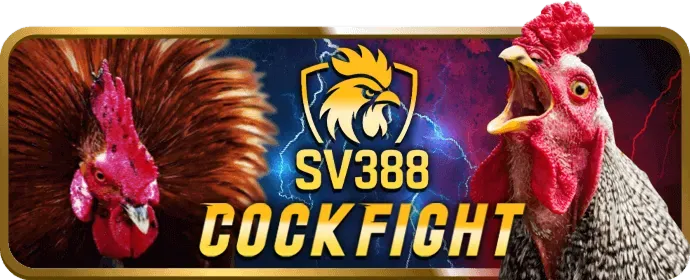 Màn hình hiển thị các trò chơi Slot có RTP cao tại tin888 casino